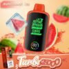 Watermelon Ice